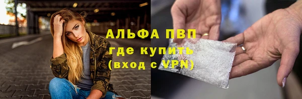 эйфоретик Баксан