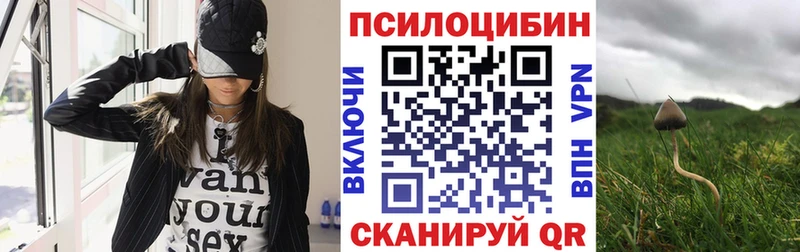 Галлюциногенные грибы MAGIC MUSHROOMS наркота Закаменск